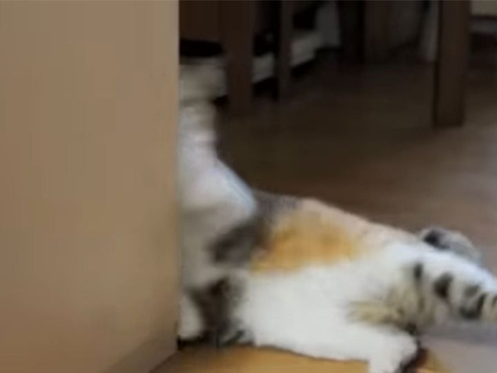 壁に寄りかかるのを失敗……
