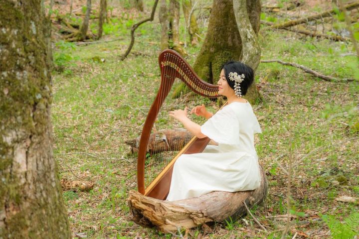 「星空ヨガ」×ハープ生演奏で奏でられるハープ