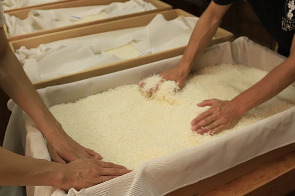 湊川隧道で熟成された「隧 ZUI SAKE 2020 子 Aged 6 years old」6年の時を経て、いま蔵出し