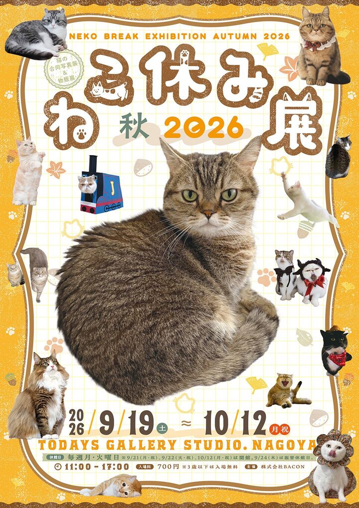 「ねこ休み展 秋 2026」名古屋会場の告知メインビジュアル
