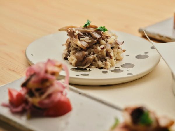 【福井県越前市】工芸宿「SUKU」に、キッチンを備えた2つの客室からなる新宿泊棟「SUKU hanare」登場