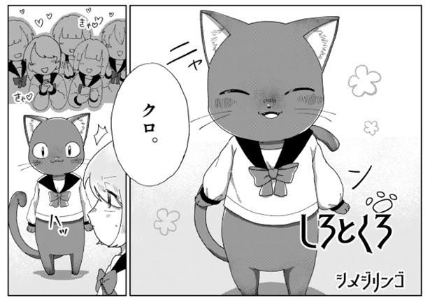 「シロとクロ」 シメジリンゴ(@matumatusimezi)
