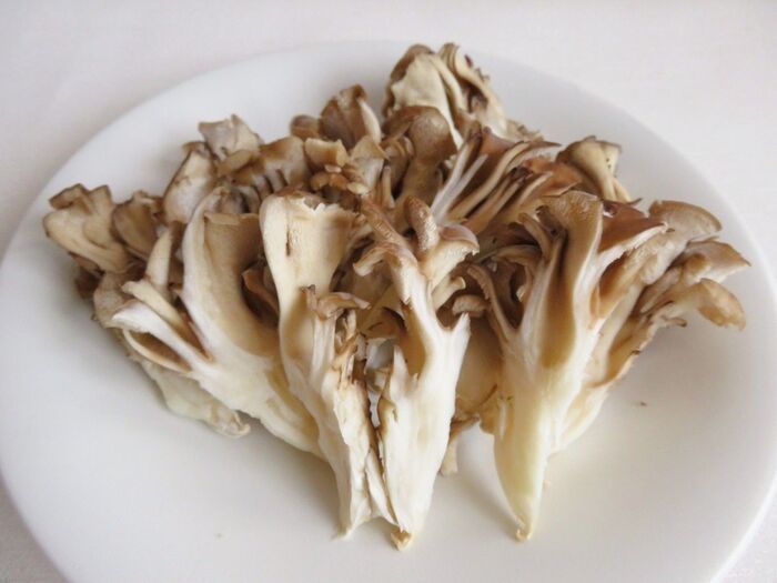 えのきは