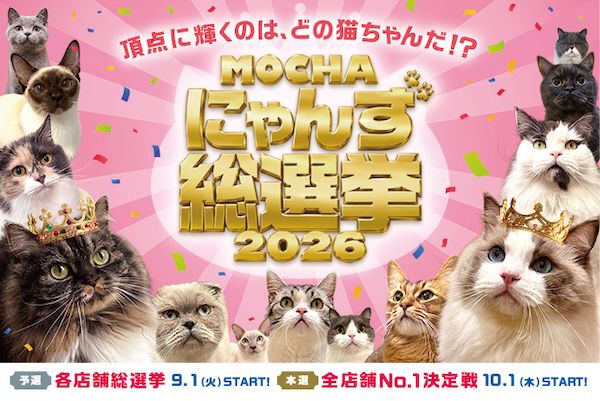 推し猫を応援！850匹以上が参加する「MOCHAにゃんず総選挙2026」を、世界同時開幕