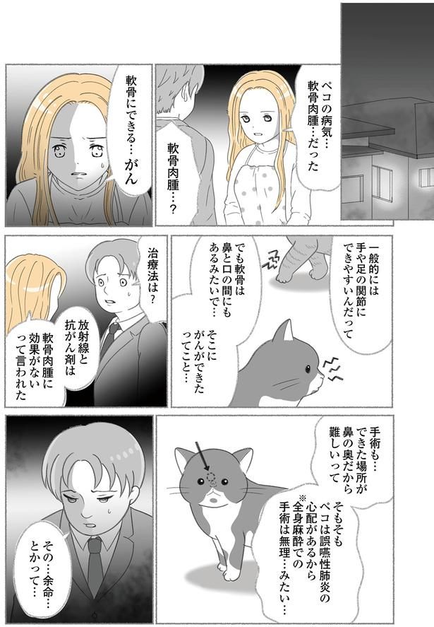軟骨肉腫…？ （C）ゆきよみ、にゃんかつ／KADOKAWA