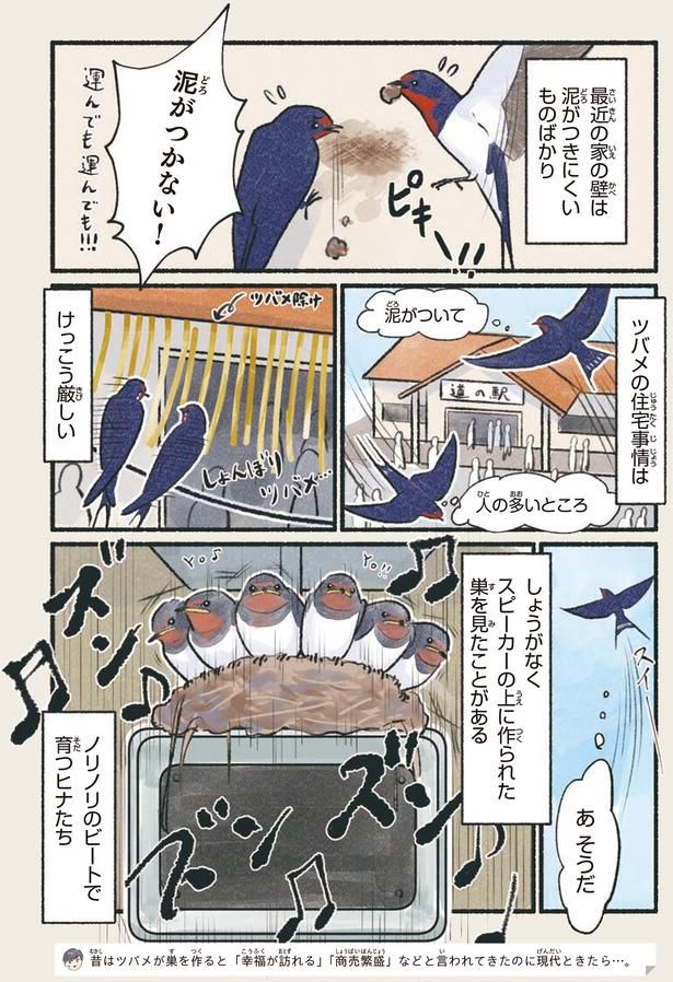 泥がついて 人の多いところ （C）piro piro piccolo／KADOKAWA