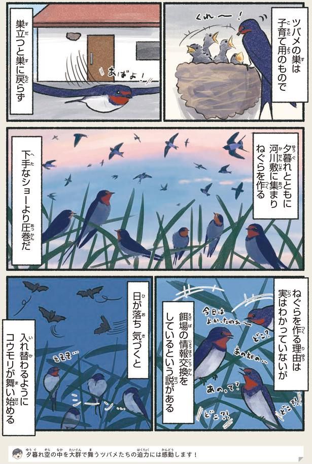 下手なショーより圧巻だ （C）piro piro piccolo／KADOKAWA
