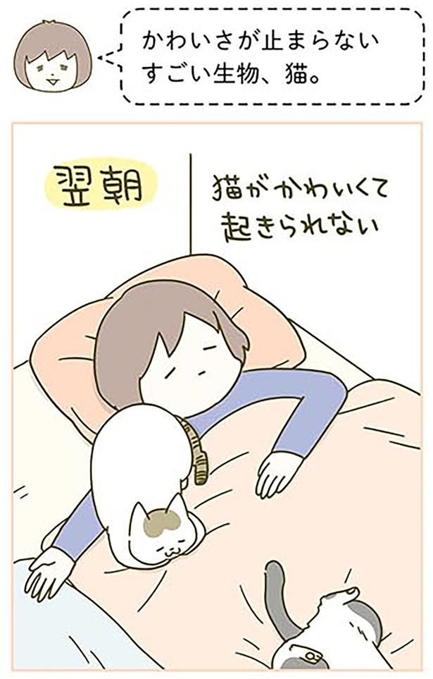 かわいさの罠 （C）卵山玉子／KADOKAWA