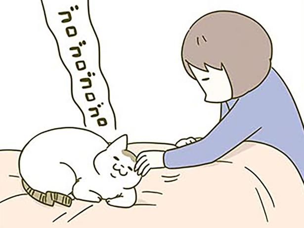 猫が可愛すぎて （C）卵山玉子／KADOKAWA