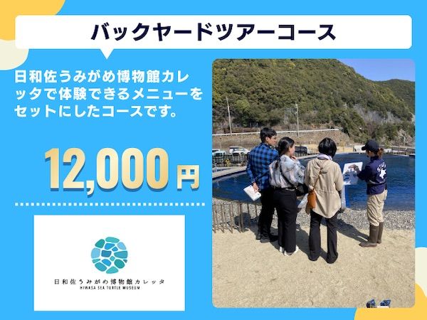 【徳島県美波町】ウミガメ専門の博物館がクラファンを実施中！ウミガメを守る輪をさらに広げる