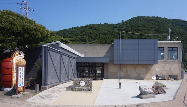 【徳島県美波町】ウミガメ専門の博物館がクラファンを実施中！ウミガメを守る輪をさらに広げる