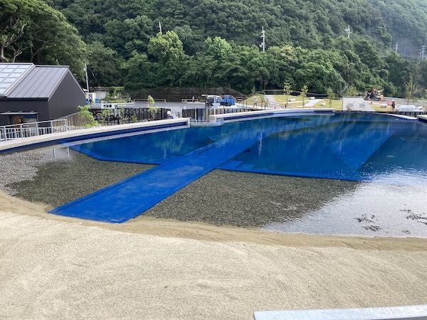 【徳島県美波町】ウミガメ専門の博物館がクラファンを実施中！ウミガメを守る輪をさらに広げる