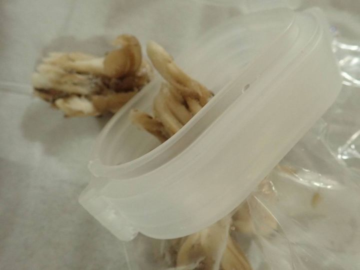 ダイソー：冷凍食品用袋キャップ(大きめ食材用)
