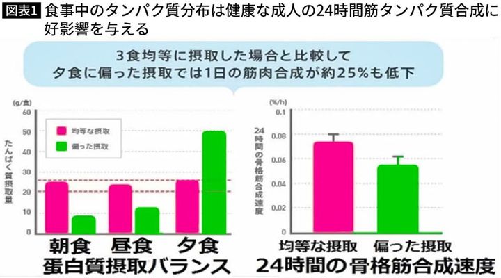 【図表】食事中のタンパク質分布は健康な成人の24時間筋タンパク質合成に好影響を与える
