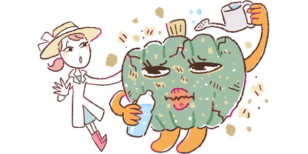 乾燥しがちな肌は、ひと夏越えるとよりカサカサに！