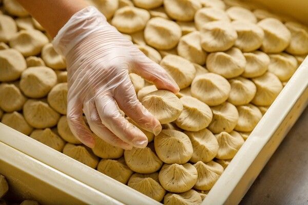 【岐阜県恵那市】和菓子店・良平堂が体験型観光プログラム「栗拾い体験」＆「栗きんとん絞り体験」開催