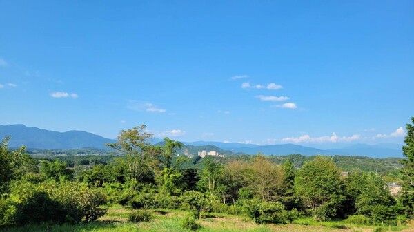 【岐阜県恵那市】和菓子店・良平堂が体験型観光プログラム「栗拾い体験」＆「栗きんとん絞り体験」開催