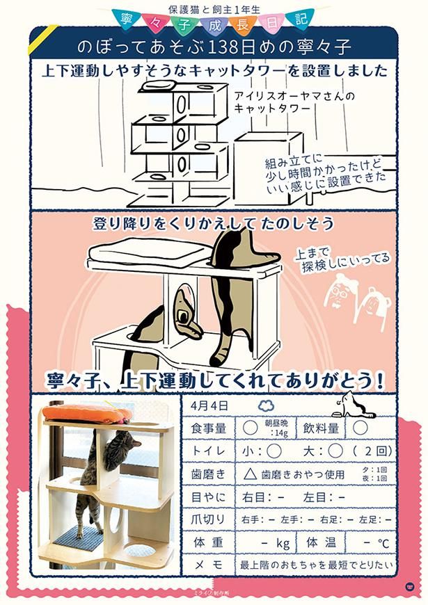 のぼってあそぶ138日めの寧々子 協力：未来@猫と教育とアプリ制作(@MikiTainaka)