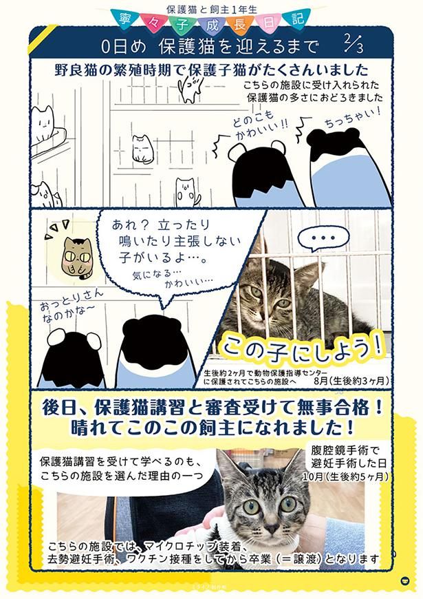 0日め 保護猫を迎えるまで 協力：未来@猫と教育とアプリ制作(@MikiTainaka)