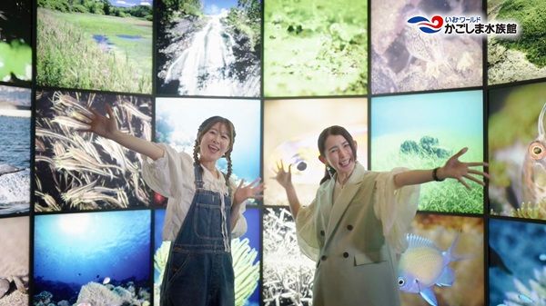 【鹿児島県鹿児島市】「かごしま水族館」で「かごしまヒトデ博覧会」開催中！アンバサダー出演の新CMも