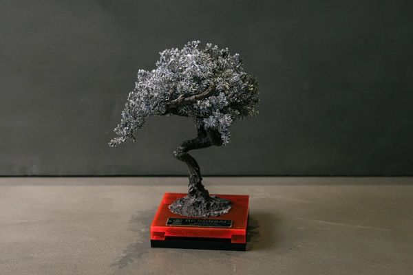 【東京都渋谷区】TOUFU TOKYOがポップアップを開催！アップサイクル盆栽アート「RE BONSAI」を販売