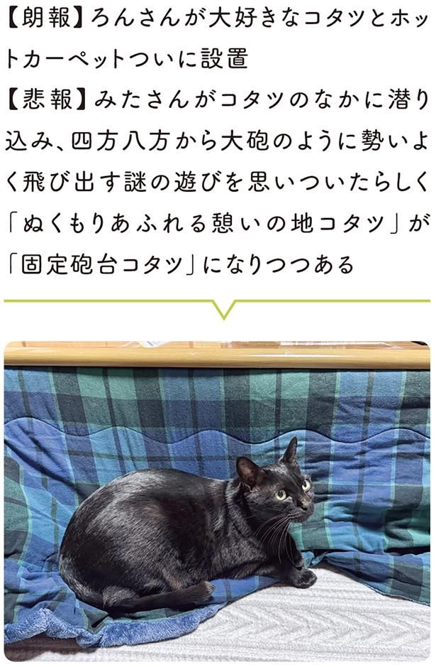 コタツとホットカーペットついに設置 （C）AKR／KADOKAWA