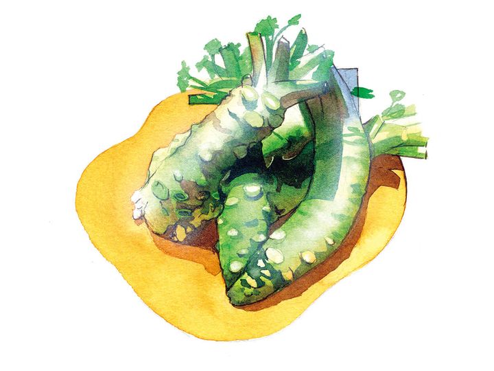 コサカダイキ イラスト