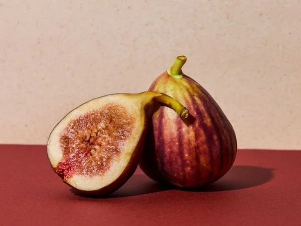 【東京都新宿区・神奈川県川崎市】旬のイチジク×ほうじ茶！「フタバフルーツパーラー」に秋季限定パフェ＆あんみつ登場
