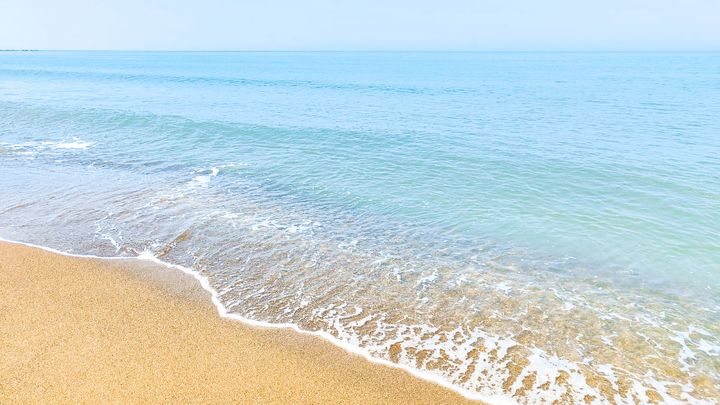海岸で見つけた際に触ってはいけない生物とは？（画像はイメージ）