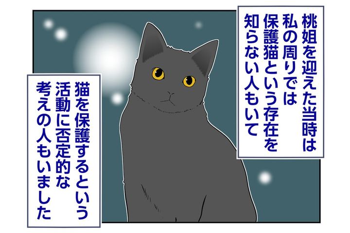 【マンガ・老猫日誌＃100】保護猫活動に否定的だった同僚とのやりとり〜思い出の老猫日誌・桃姐と小論
