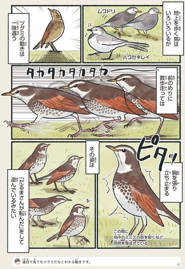 ツグミの動きは一味違う （C）piro piro piccolo／KADOKAWA