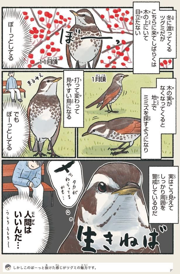 ぼーっとしてる （C）piro piro piccolo／KADOKAWA