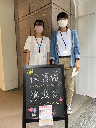 【宮城県仙台市】保護猫カフェ「フルキャット」オープン！人と猫が幸せに暮らせるまちづくりに貢献