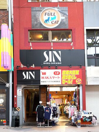 【宮城県仙台市】保護猫カフェ「フルキャット」オープン！人と猫が幸せに暮らせるまちづくりに貢献