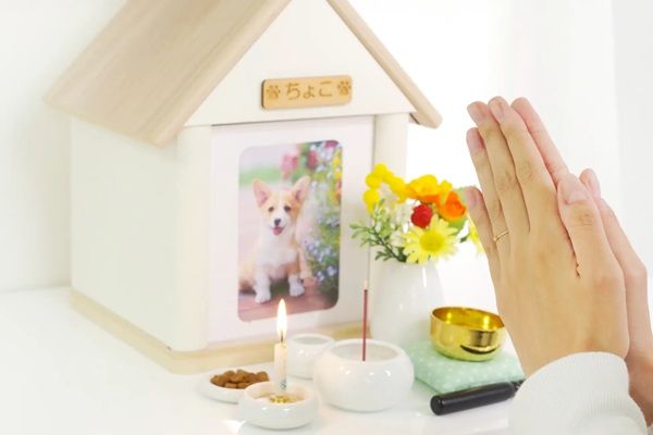 【千葉県市川市】ペットメモリアル専門店「ディアペット千葉」オープン。火葬先の紹介などにも対応