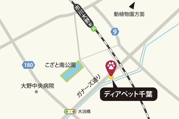 【千葉県市川市】ペットメモリアル専門店「ディアペット千葉」オープン。火葬先の紹介などにも対応