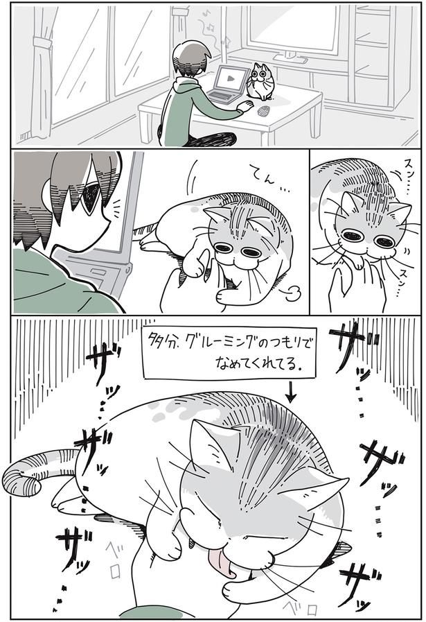 ザッザッ… （C）キュルZ／KADOKAWA