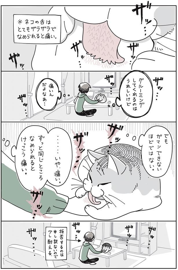 少し耐える （C）キュルZ／KADOKAWA