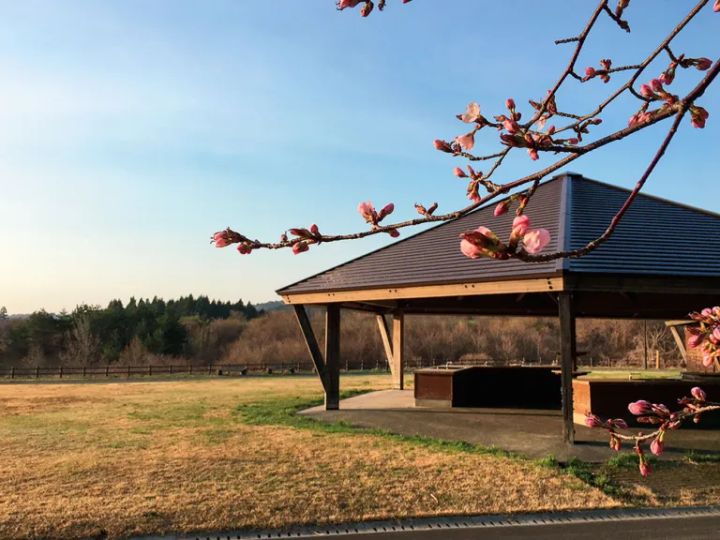 AC電源のあるキャンプ場16選【青森県・岩手県・秋田県】