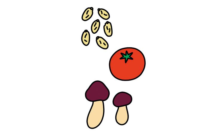 GABA