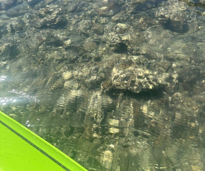 海底まで見渡せるほど澄んだ海