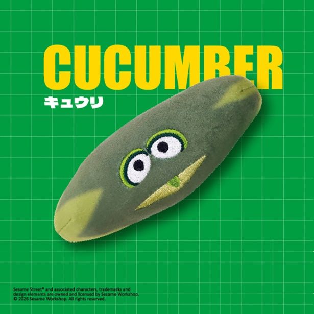  キュウリ