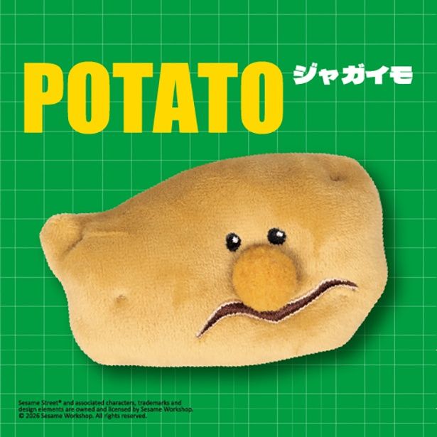  ジャガイモ