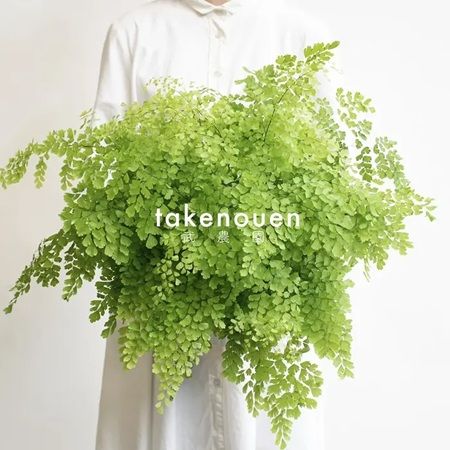 【東京都目黒区】「アンドプランツ ＆ アンドフラワーマルシェ'26」開催！植物のワークショップも