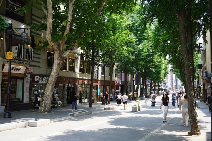 仁寺洞のメインストリートは緑も豊か。道行く人の年齢層も、若干高めです。