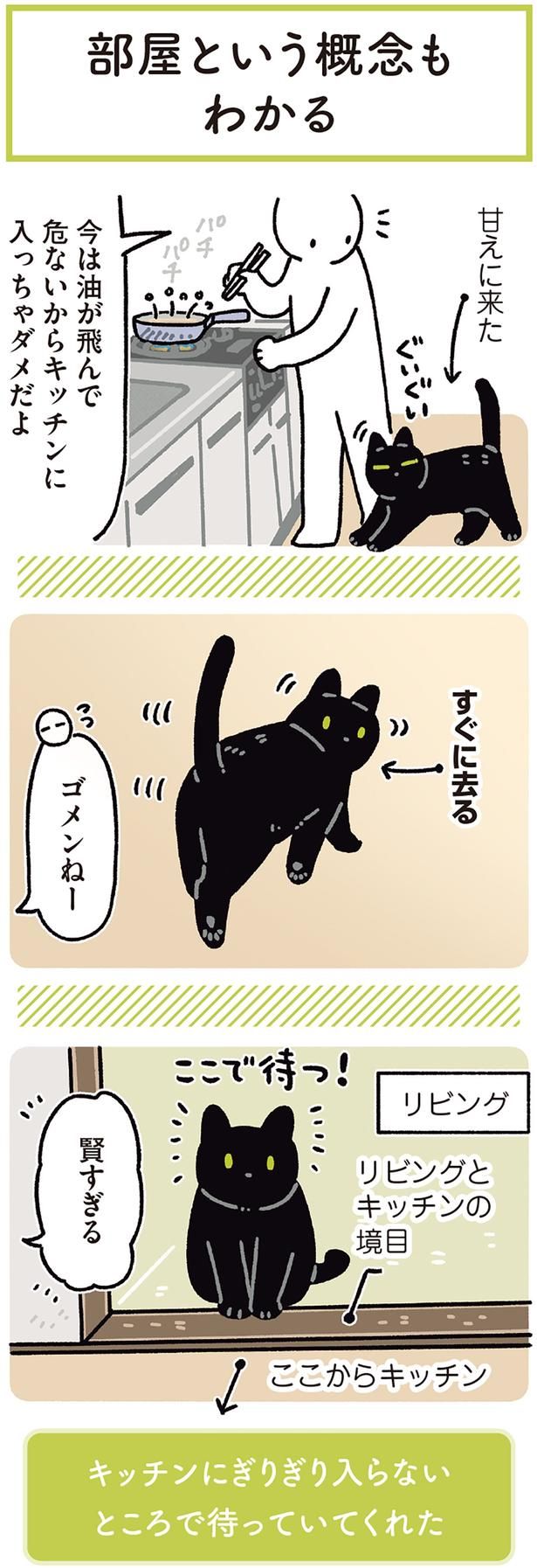 賢すぎる （C）AKR／KADOKAWA