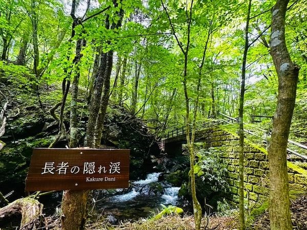 【長野県北相木村】アウトドアリゾート「長者の森」、滝壺や渓流などの涼スポットが人気！秋は星空観賞会も