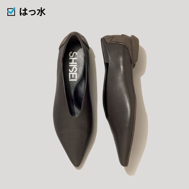 はき口のVカットとポインテッドトゥがクール。足を深く包み込む形ではきやすい。3万6300円（シーセイ）