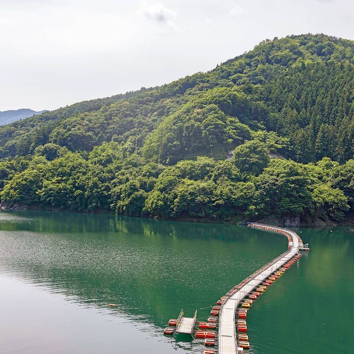 奥多摩湖トレイル道