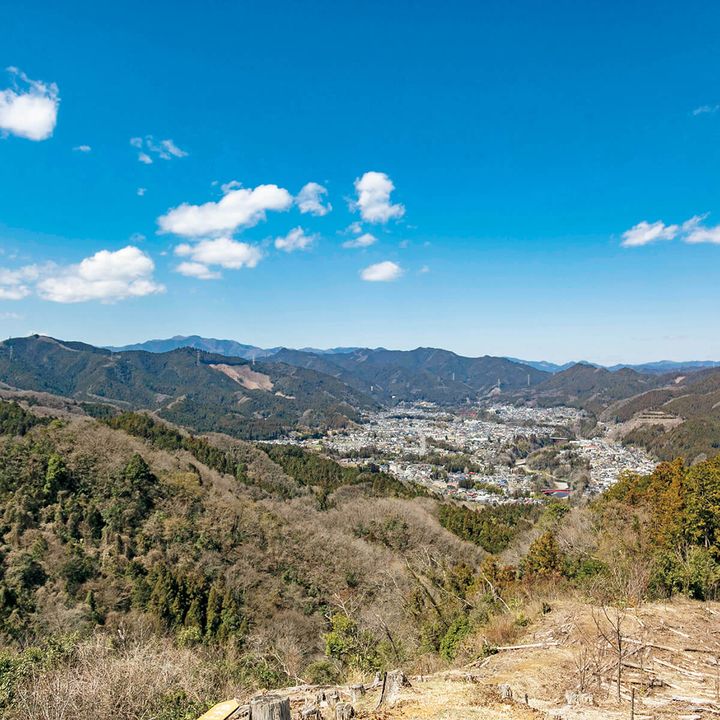 青梅市 赤ぼっこトレイル道